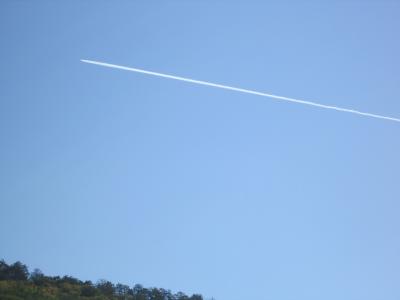 Прикрепленное изображение: IMG_0221.JPG